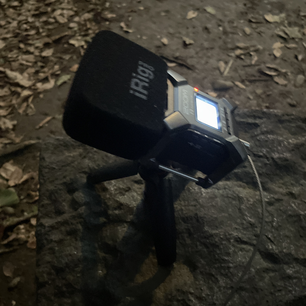 Featured image of the post